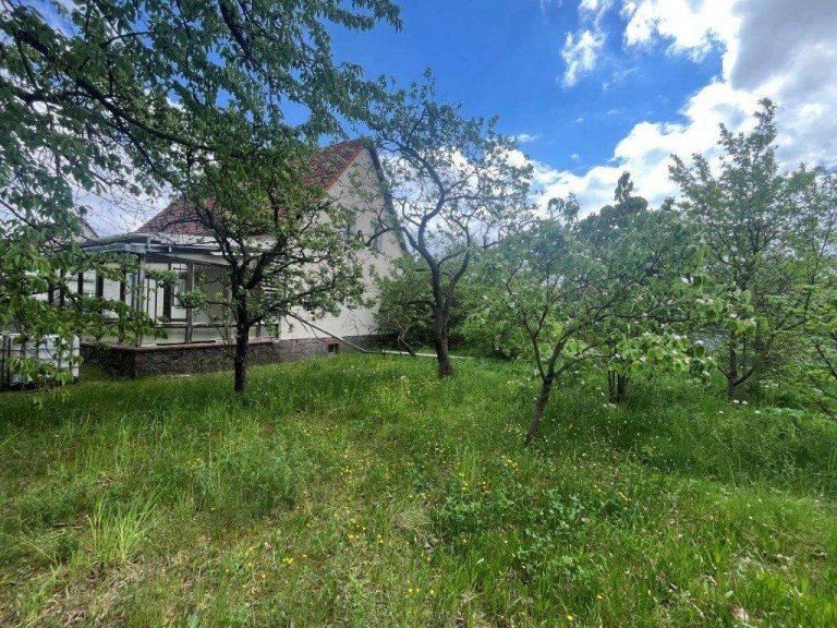 weitl�ufiger Garten f�r Naturliebhaber Senftenberg OT Sedlitz Einfamilienhaus Viel Platz f�r Ihre Wohntr�ume - Sanierungsobjekt mit gro�em Potenzial im Sedlitzer Seenland