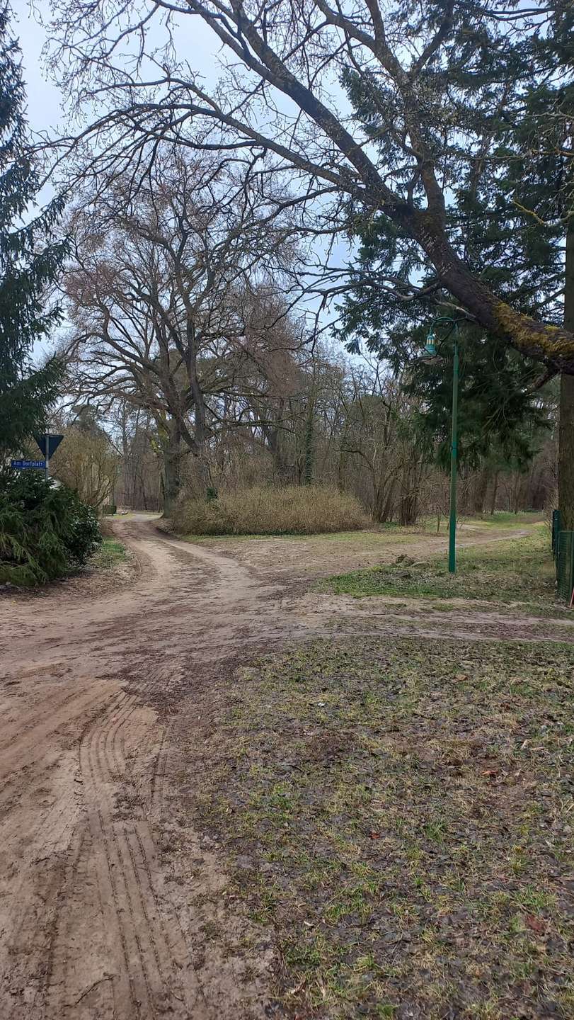 06a98fc0-351e-4e38-9a87-e9e2d9845ca3 Einfamilienhaus Zossen