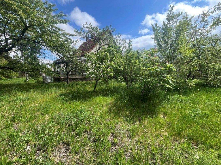 viel Platz zum genie�en und entspannen Einfamilienhaus Senftenberg OT Sedlitz