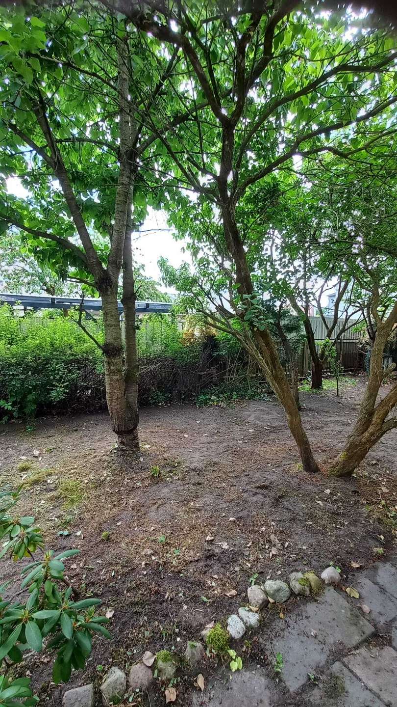 Garten Doppelhaush�lfte Bestensee