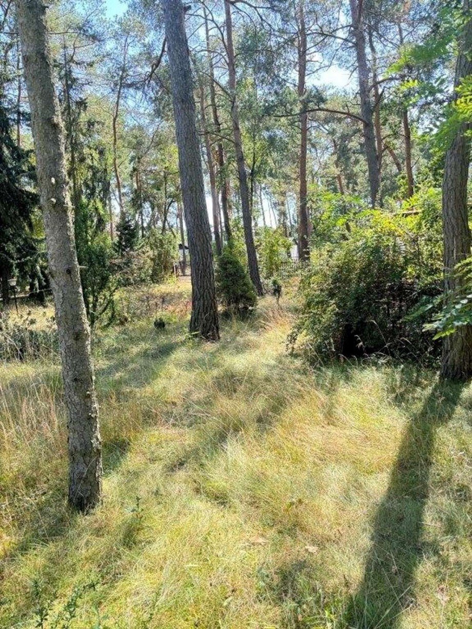 Grundst�ck Bild 2 Wohngrundst�ck Am Mellensee