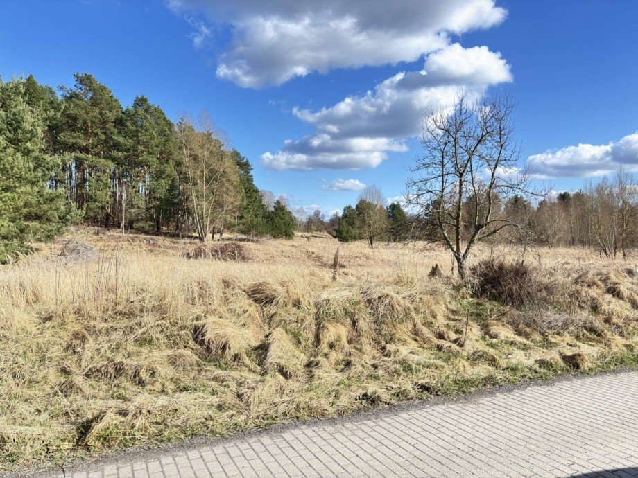 vor der T�r Doppelhaush�lfte Halbe