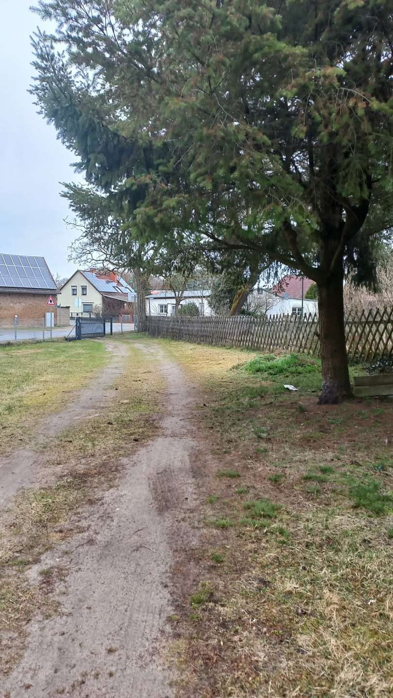 62296651-0a02-42d5-aa18-391b3d909bc2 1 Einfamilienhaus Zossen