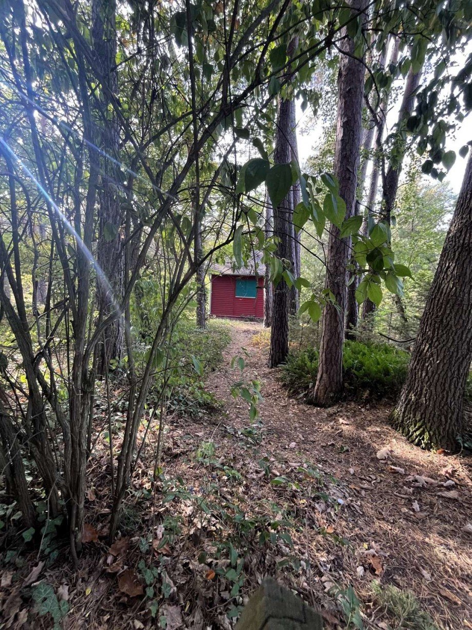 mitten im Wald Grundst�ck Gro� K�ris